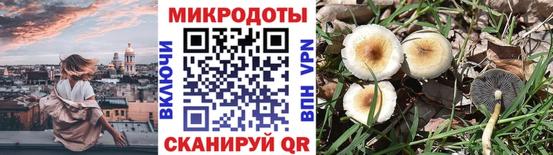 Галлюциногенные грибы мицелий  купить наркотики сайты  Волхов 